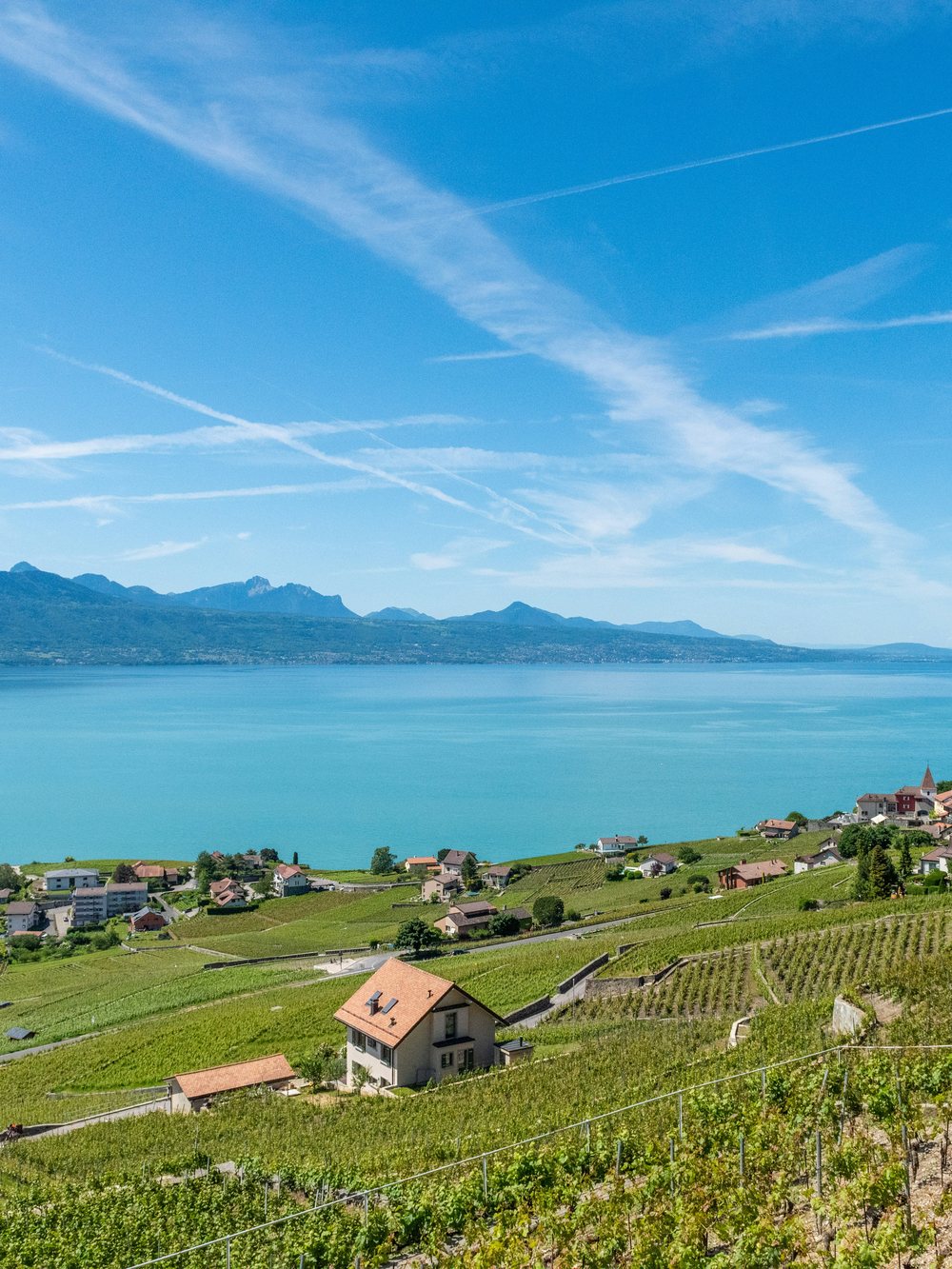 Le Lac Léman et les vignes de Lavaux depuis les terrasses de Lavaux